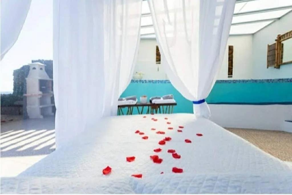 Romantic Tenerife Güimar Dış mekan fotoğraf